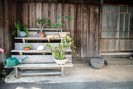 A tranquil corner in the Old Town, Ojika