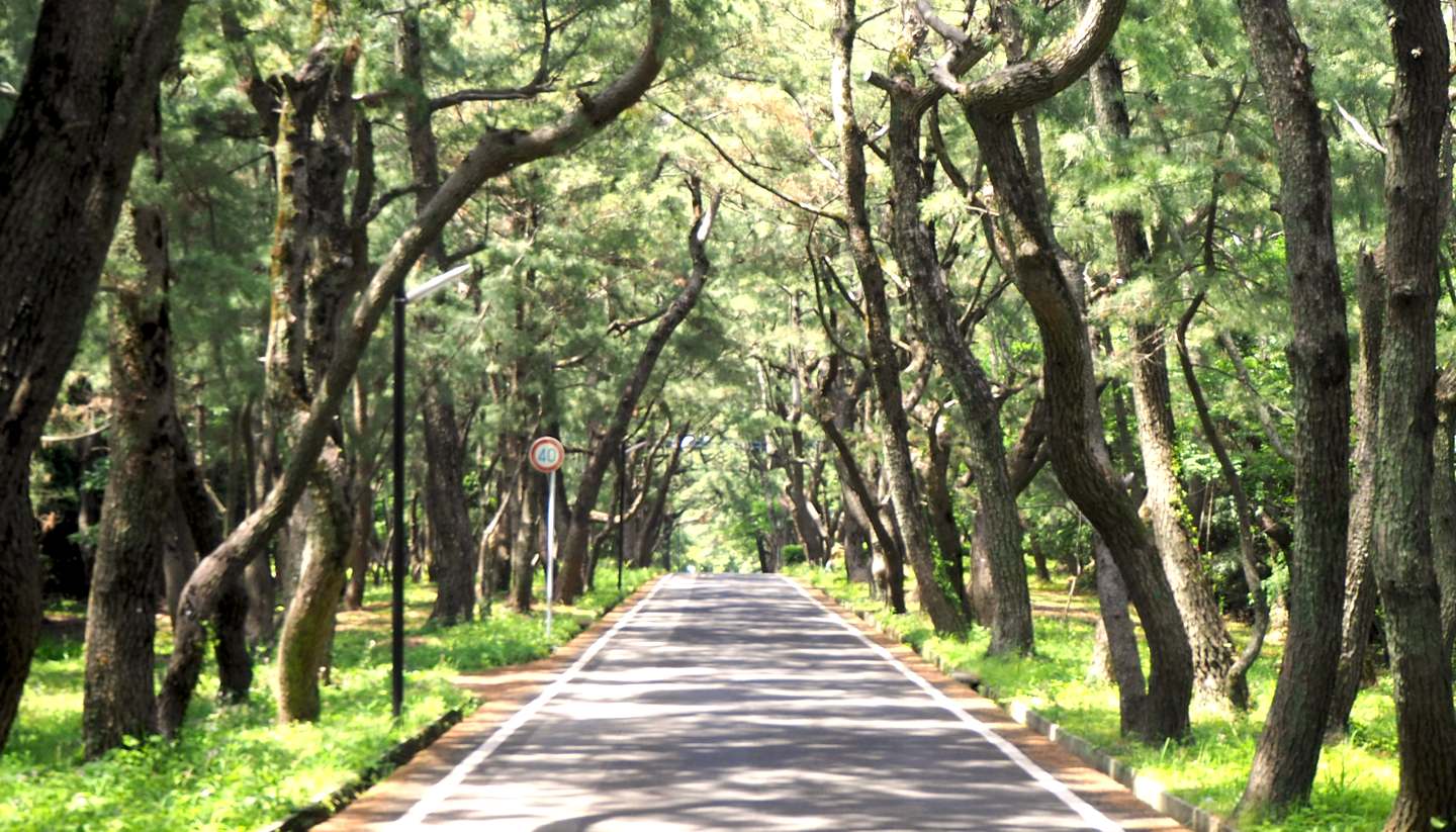 Island life in Ojika - Oth-Japan-Ojika-Road-1440x823