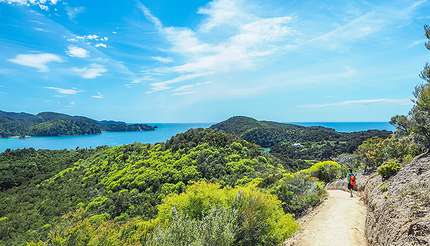 shu-Abel Tasman National Park-792220501-430x246