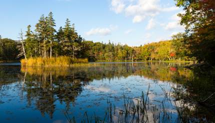 Shiretoko National Park in Hokkaido