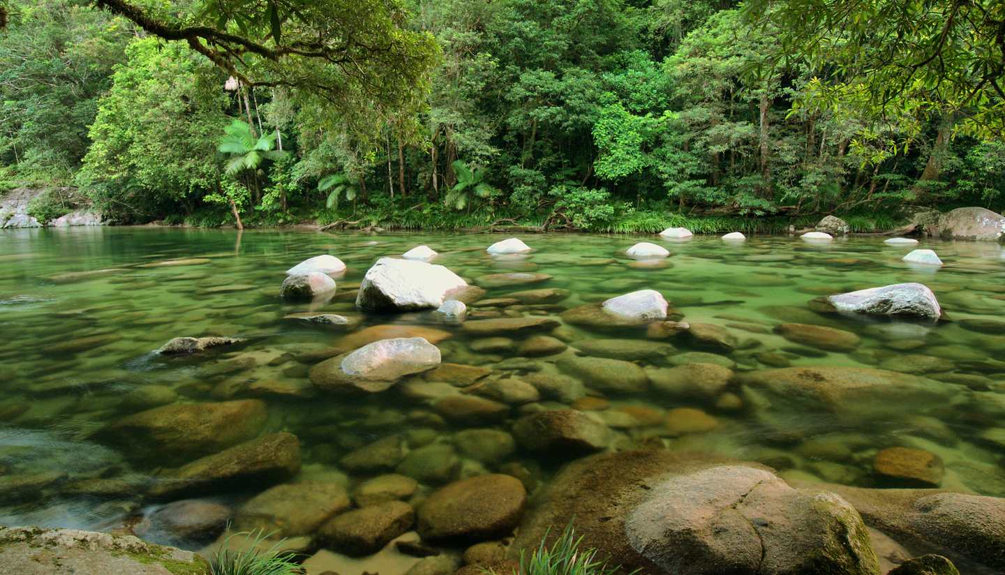 Queensland - Daintree National Park, Queensland, Australia