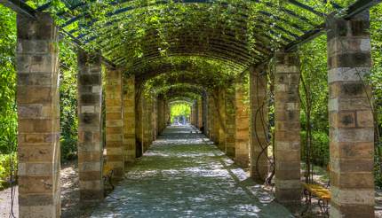 Athens National Garden