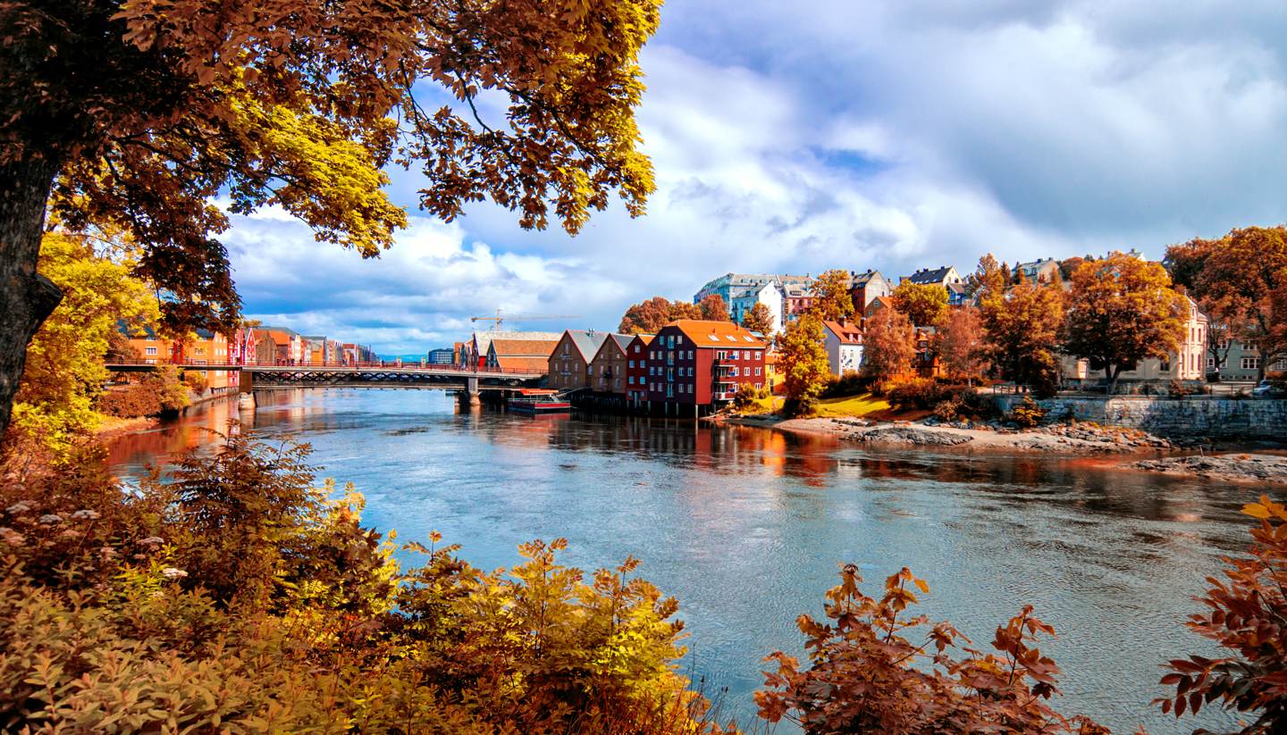 Top 5 places to see autumn foliage in Europe - View through autumn foliage to Nidelva river, Trondheim city, Norway