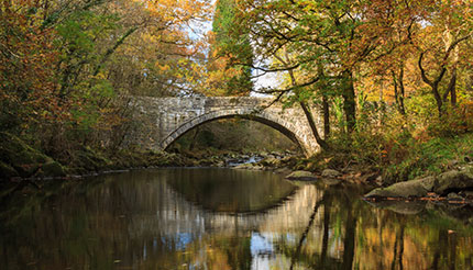 Mawddach River at Coed y Brenin Forest Dolgellau