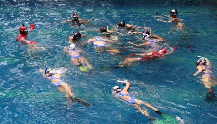 Women playing underwater hockey