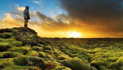 Eldhraun lava field, Iceland