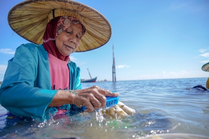 A woman cleaning sea shells off Belitung Island