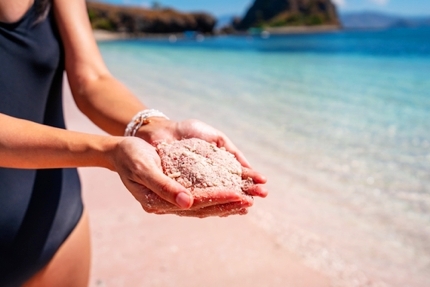 A tourist holding the pink sands on Komodo Island