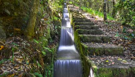 Levadas in Madeira, Portugal