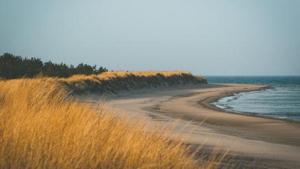 Paradise Beach, Gotland