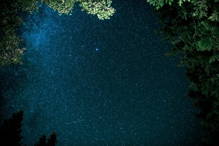 A night view in Kielder Forest