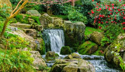 Waterfall at Kyoto Garden