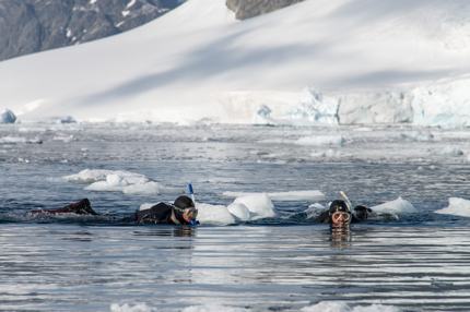 Snorkelling in Antartica