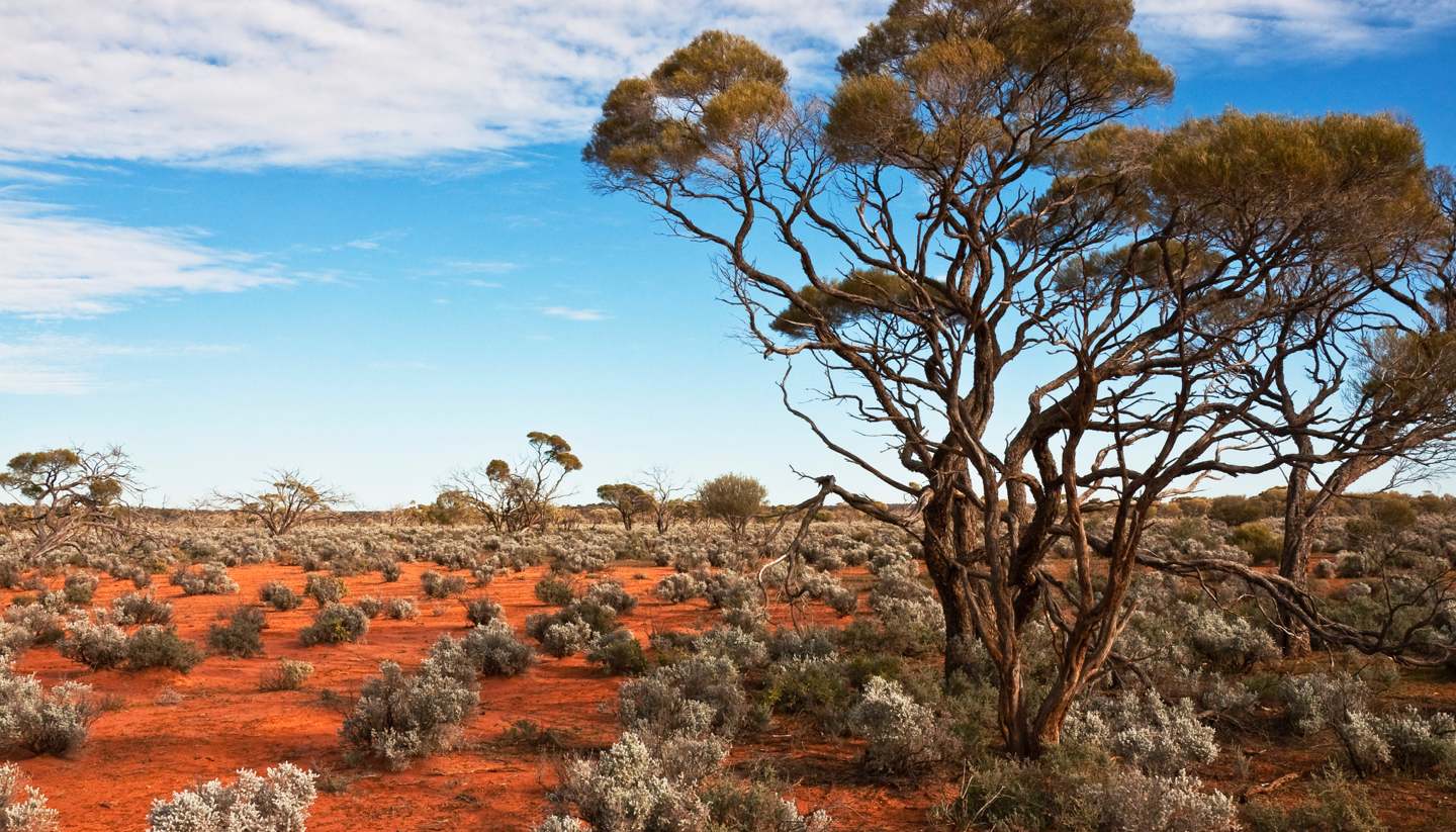 Northern Territory - Northern Territory, Australia