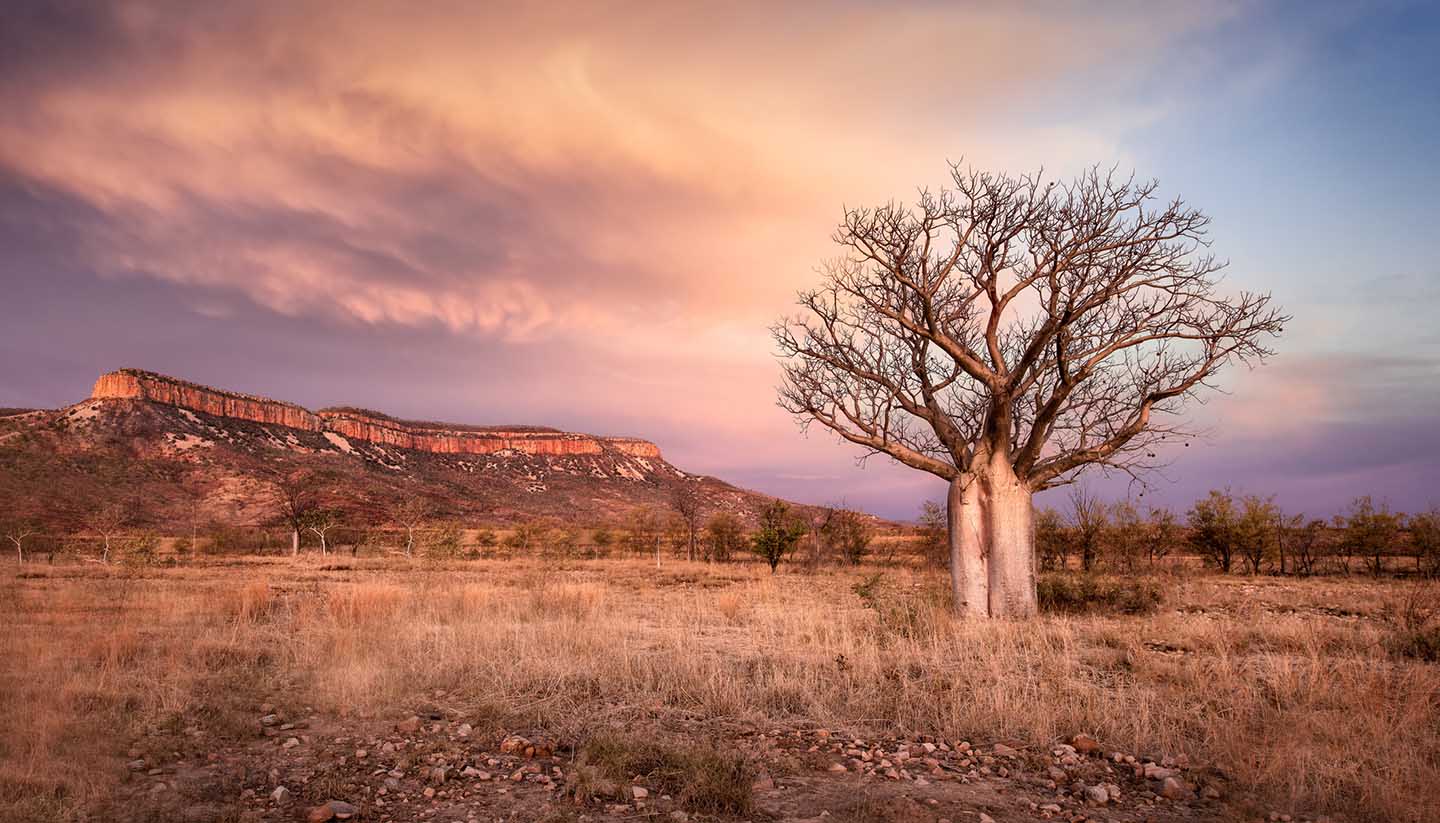 Western Australia - Kimberleys Region (Western Australia)