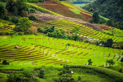 Many digital nomads spend October to March in Chiang Mai, Thailand.